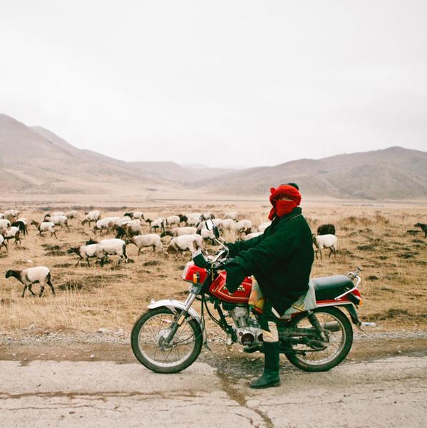 Tibetan Nomads