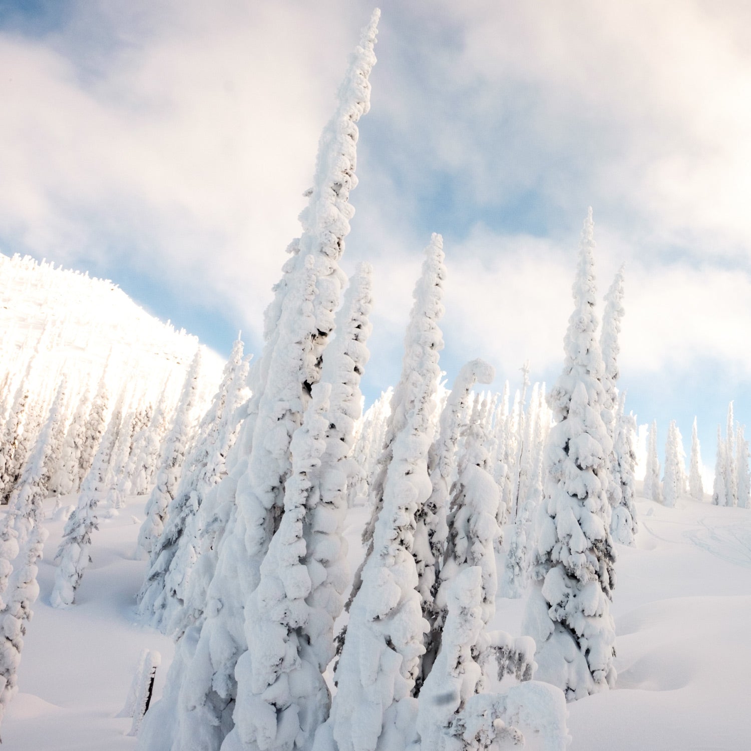 Holiday Music Mixer: A playlist from Topo Designs