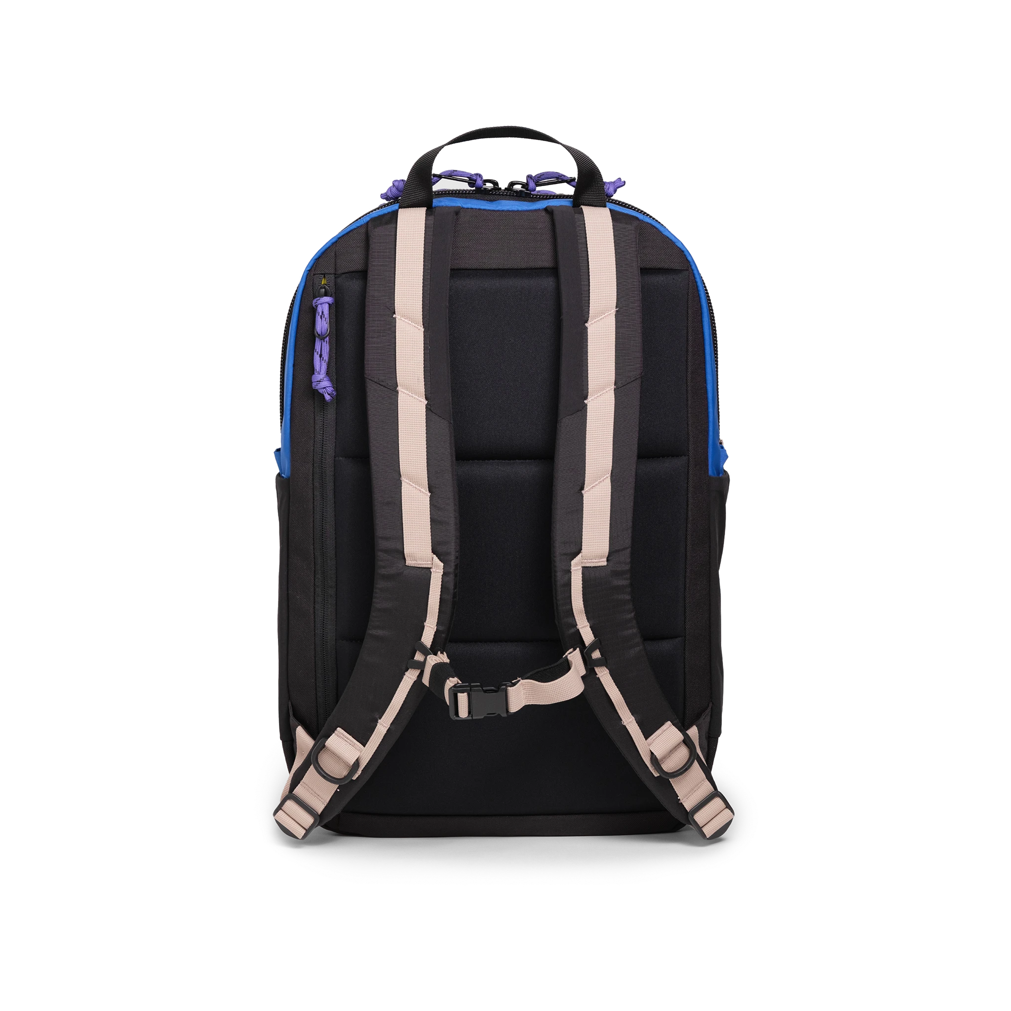 Back View of Topo Designs Commuter Backpack in "Classic Blue / Bone White"