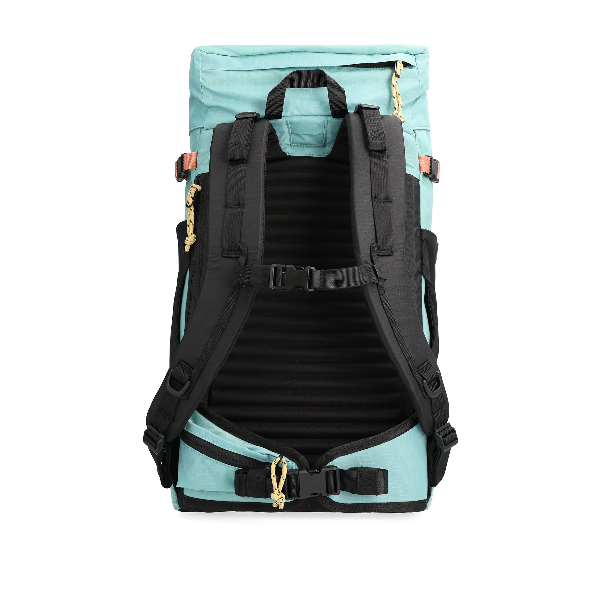 Back View of Topo Designs Mountain Pack 28L in "Geode Green / Sea Pine"