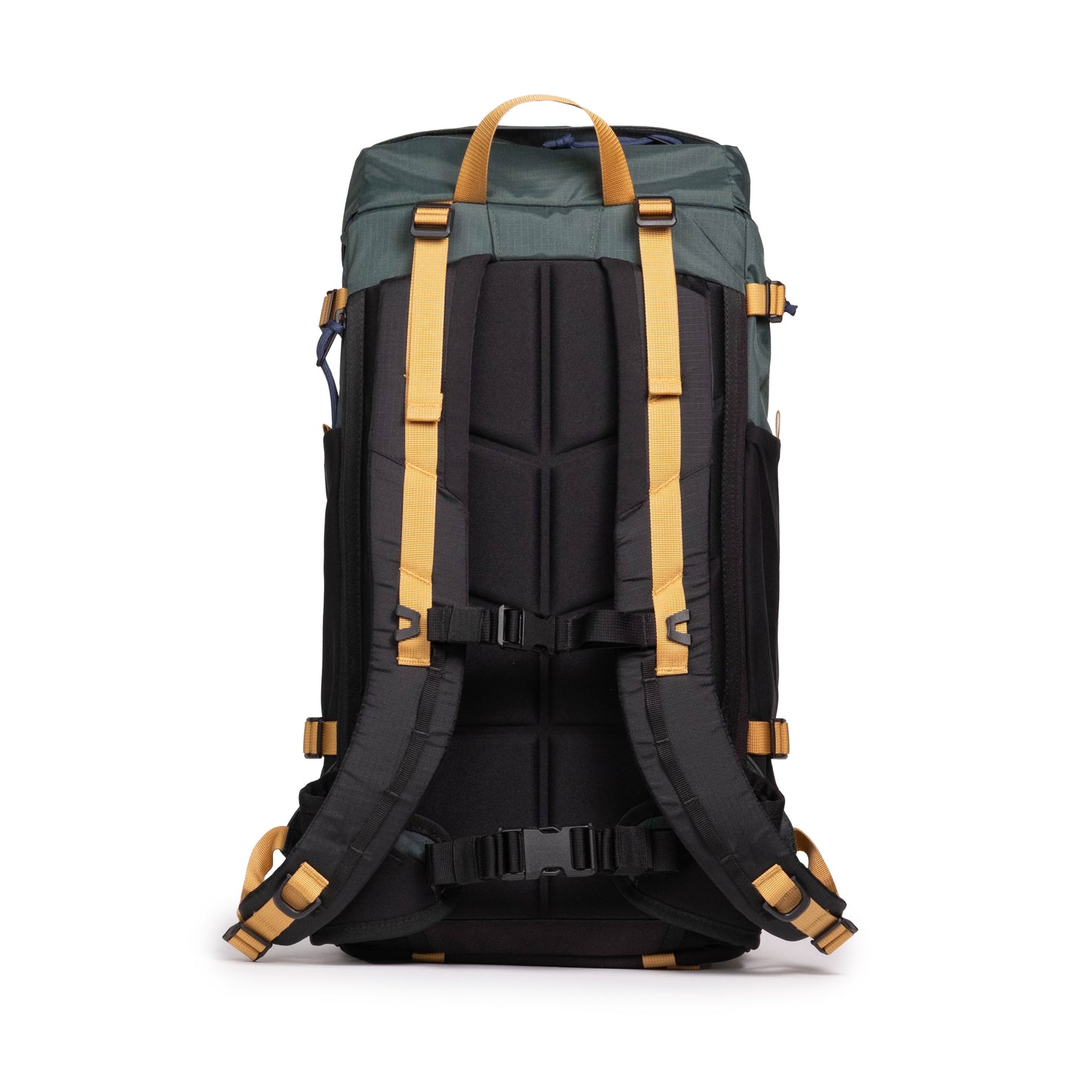 Back View of Topo Designs Rover Trail Pack 22L in "Forest / Goldenrod"