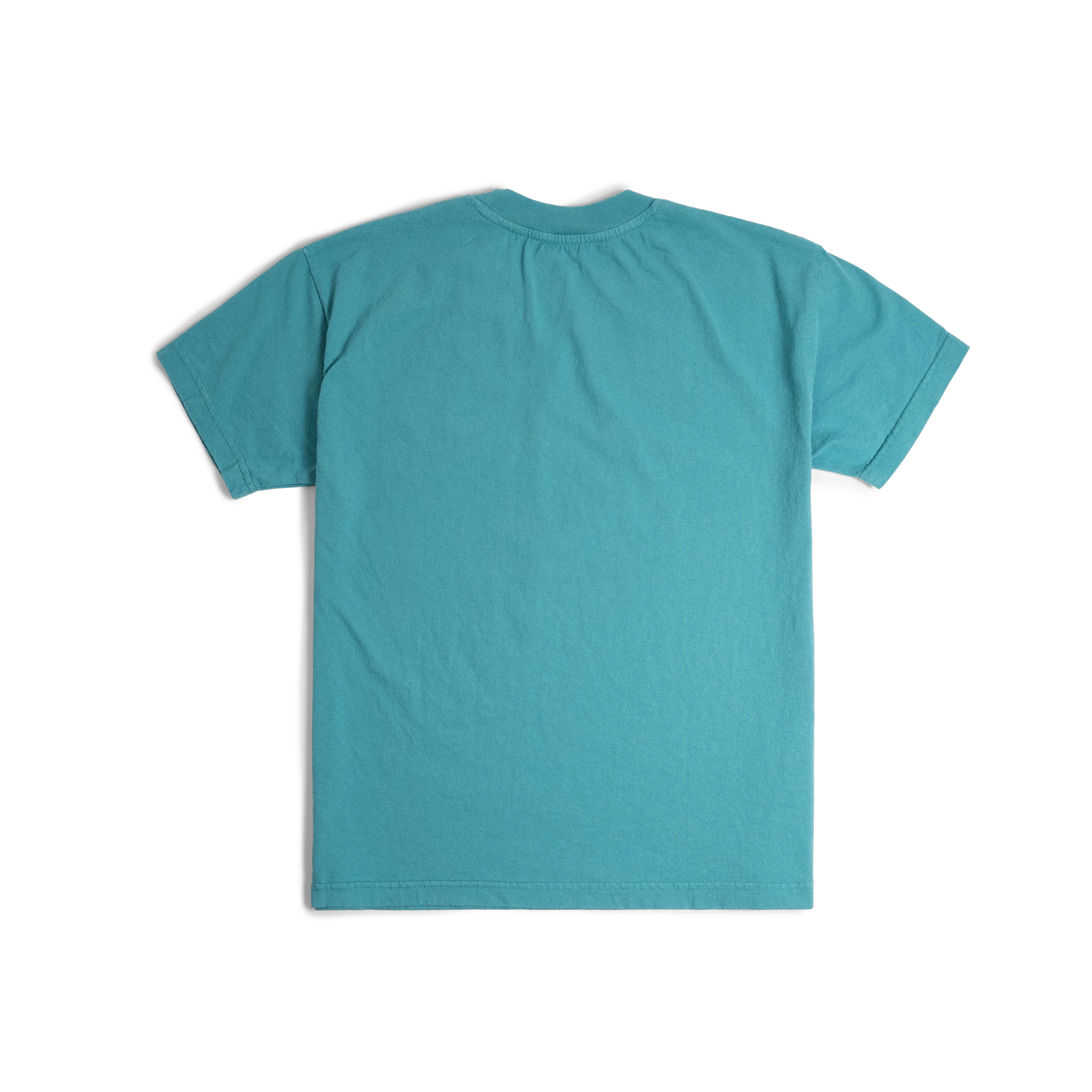 Back image of Topo Designs x Soft Goods Label Tee in "Alpine Teal"