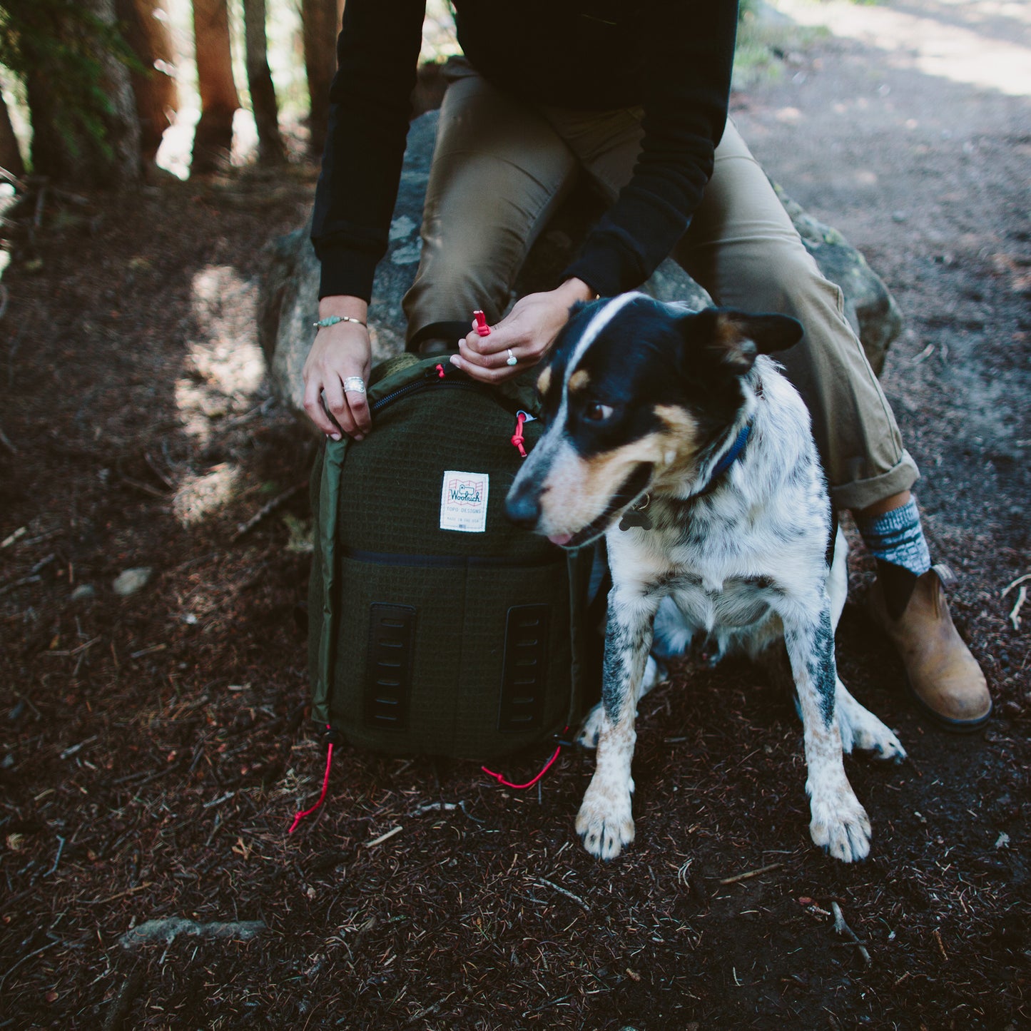 Bags - Topo Designs X Woolrich Span Daypack